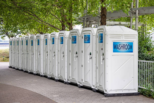 Best Affordable portable toilet rental  in Mount Prospect, IL