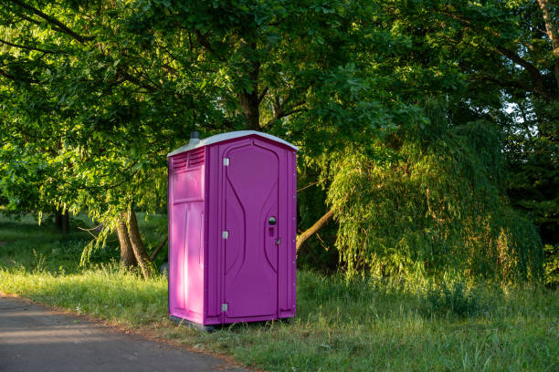 Affordable portable toilet rental in Mount Prospect, IL